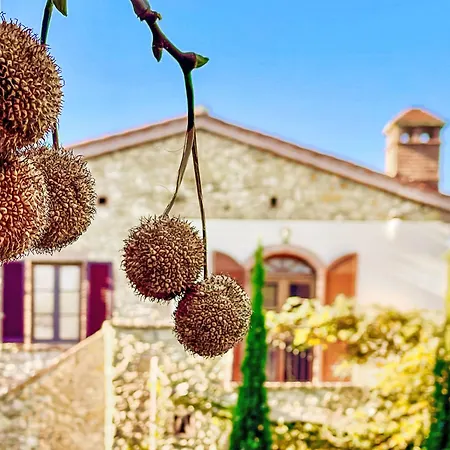 Tramonto By Interhome Vakantiehuis Casale Marittimo